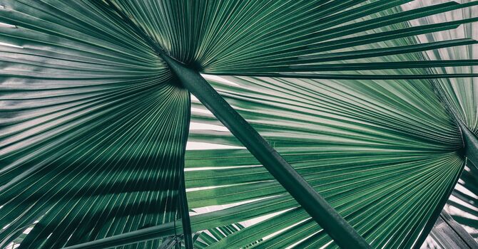 Ice Or Heat, Which Is Better When You're Hurt?