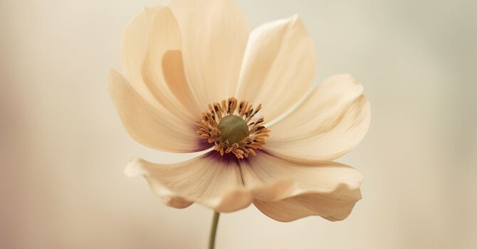 Ice Or Heat, Which Is Better When You're Hurt? image